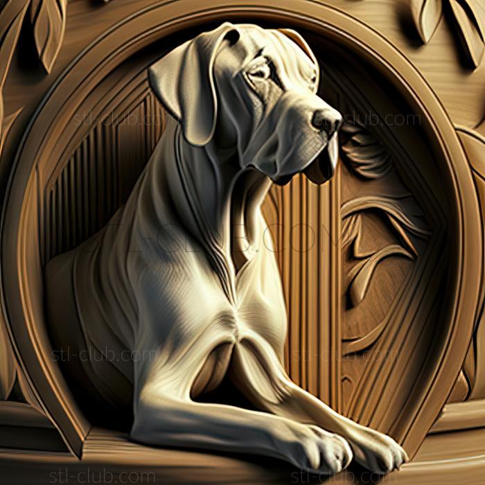 st Canary Great Dane dog